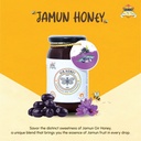 GIR HONEY JAMUN Organic Raw Honey | NMR Tested 100% Raw & Pure Honey | Unprocessed, Unpasteurized, Unheated & Unadulterated | 250gm Jar